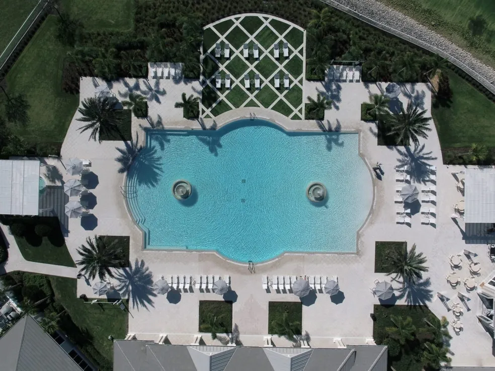 A large pool with many trees and bushes